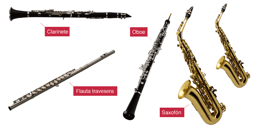 Каким инструментам относится кларнет. Гобой кларнет Фагот. Гобой кларнет Фагот отличия. Флейта гобой Фагот. Гобой деревянный духовой музыкальный инструмент.